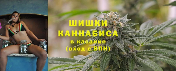 мет Инта