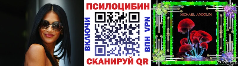 Галлюциногенные грибы Magic Shrooms  Купить закладки  Райчихинск 